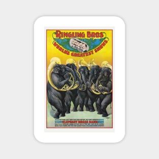Ringling Brothers USA 1899 Vintage Poster Magnet