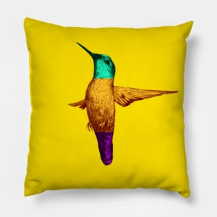 Hummingbird Pillow