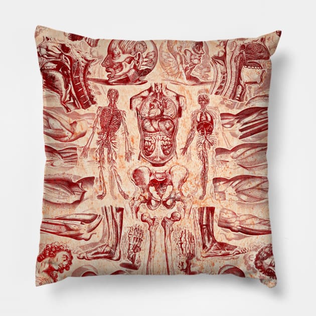 Art of Anatomy Pillow by Adatude