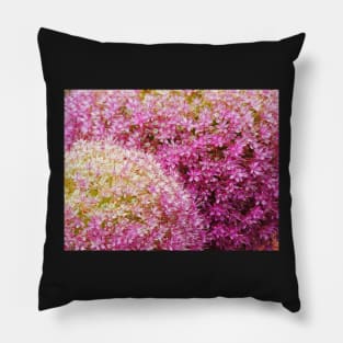 An Outburst Of Summer Pillow