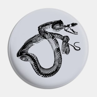 The bony snake Pin