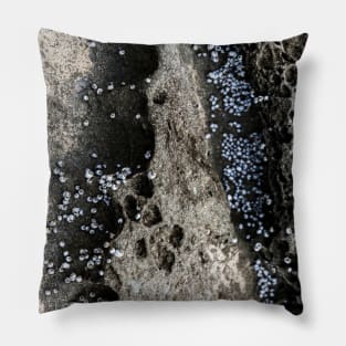 Tiny Shells On Volcanic Rock Pillow