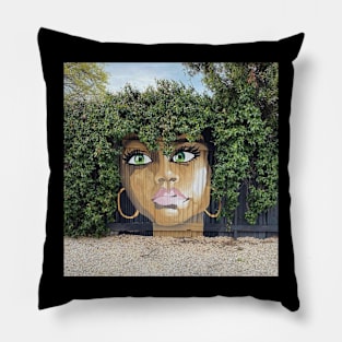 Wall murral Pillow