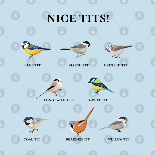 tits bird shirt