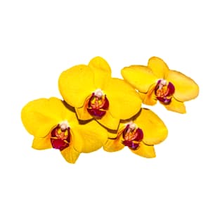 Yellow Orchid Corsage T-Shirt