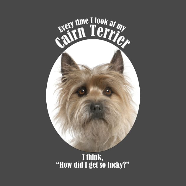 Lucky Cairn Terrier by You Had Me At Woof