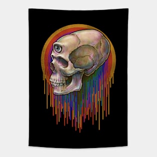 Thrid Eye Skull Tapestry