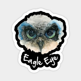 Eagle eye Magnet