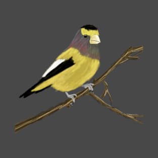 Evening Grosbeak T-Shirt