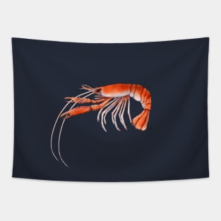 Nephrops norvegicus Tapestry