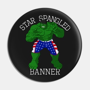 Star Spangled Banner Funny 4th of July Pin