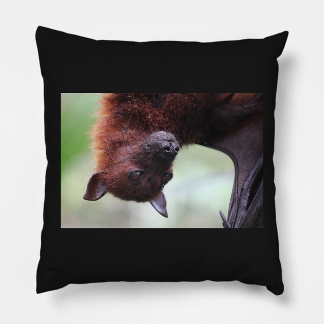 Fruit Bat Pillow by LeanneAllen