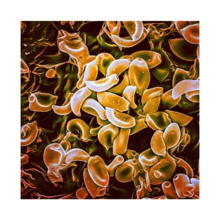 Mushroom Spores in the SEM (Orange) T-Shirt