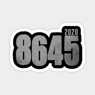 8645 2020 Magnet