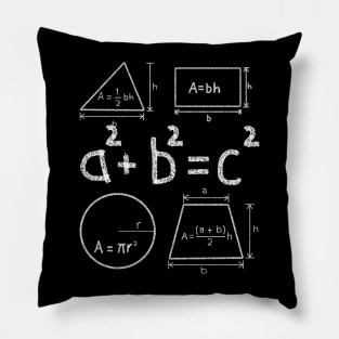 Mathematics Education 2022 Pillow