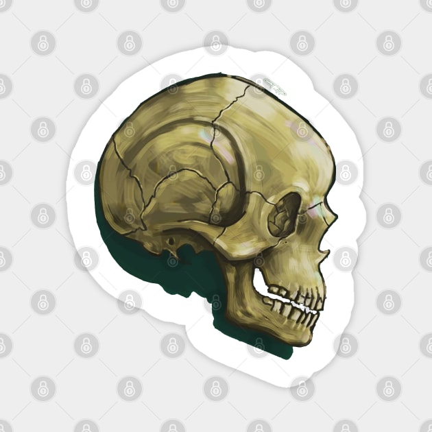 skull drawing Magnet by drteebu