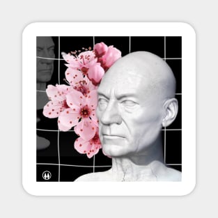 d e s c e n d / picard Magnet