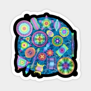 Ernst Haeckel Rainbow Diatoms over Water Magnet