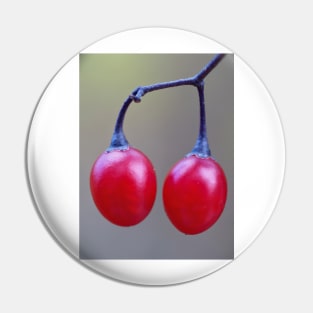 Bittersweet nightshade berries Pin