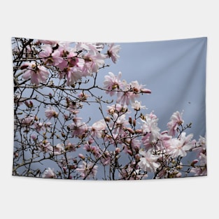 Spring Time Pink Blossoms Photography Tapestry