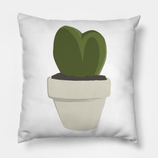 CNS Hoya Kerrii Pillow