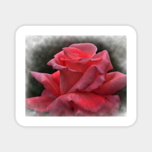 A Pink Rose Bud In Watercolor Magnet