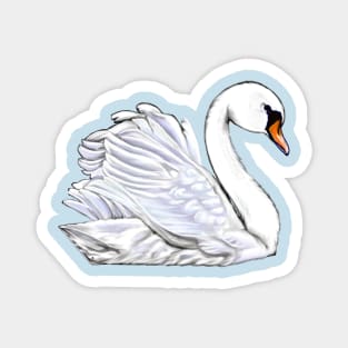 Swan - beautiful white swan Magnet