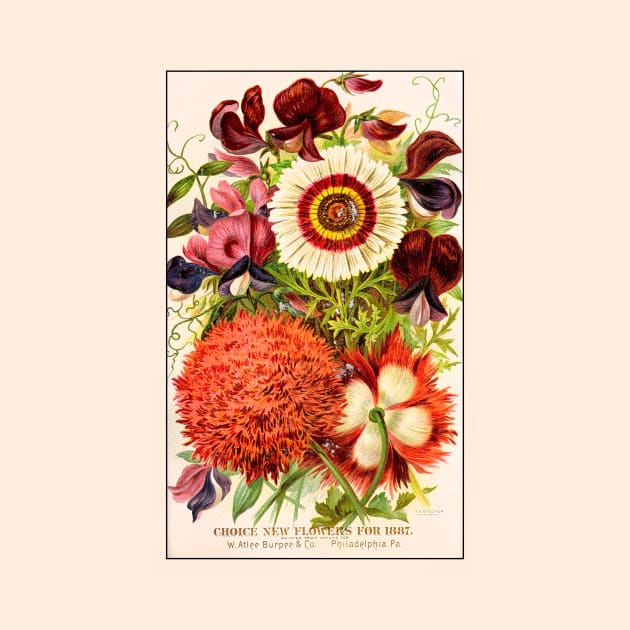 Burpee & Co Flower Seeds, 1887 by WAITE-SMITH VINTAGE ART