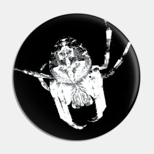 The Orb Weaver in White Pin