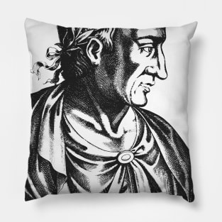 Plato Pillow