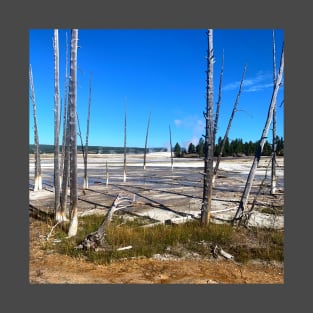 Dead Trees on the Geyser T-Shirt