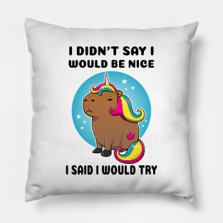 I didn't say I would be nice I said I would try Capybara Unicorn Pillow