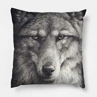 Shadow Falling Pillow