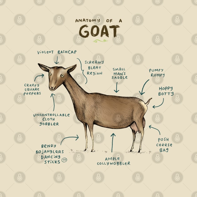 Anatomy of a Goat by Sophie Corrigan