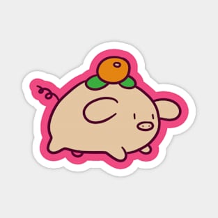 Orange Citrus Pig Magnet