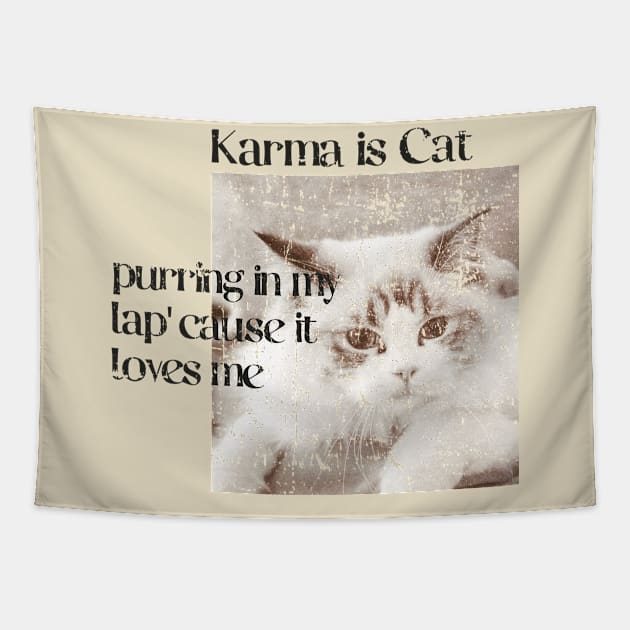 Karma is a cat funny Tapestry by FFAFFF