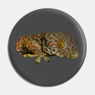 Tokay Gecko Pin