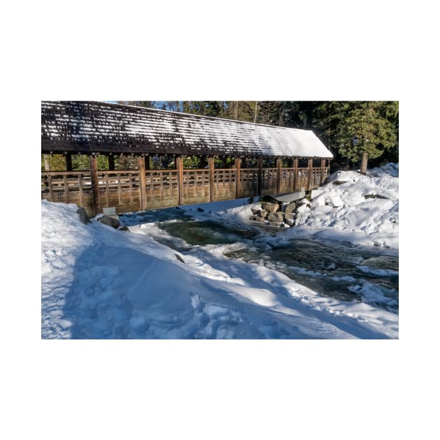 Bridge Across Fitzsimmons Creek by charlesk