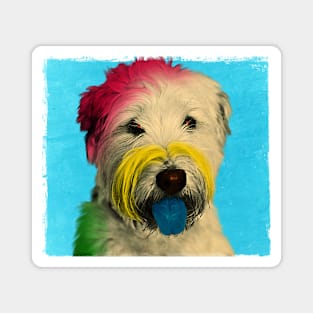 Colorful Pop Art Dog who Looks Like Albert Einstein Magnet