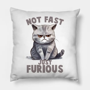 NOT FAST JUST FURIOUS CAT Funny Quote Hilarious Sayings Humor Pillow