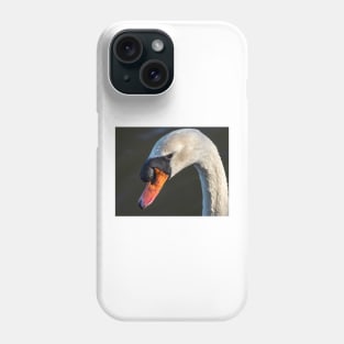 A mute swan, soon after dawn Phone Case