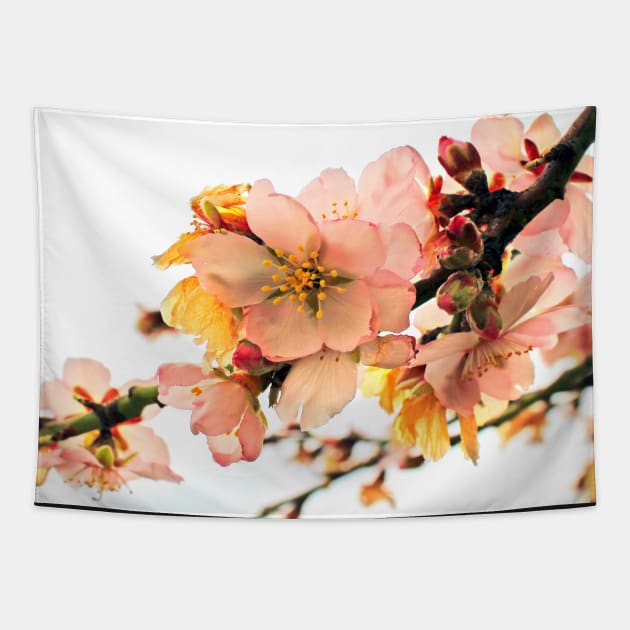 Blossom  branches Tapestry by piksimp