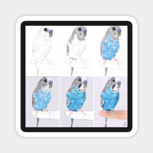 Parakeet - From Sketch to Portrait Magnet