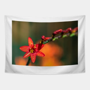 Red Crocosmia with Yellow Stripe Tapestry