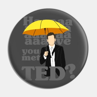 HAAAAVE you met Ted? Pin