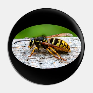 Wasp on wood Pin