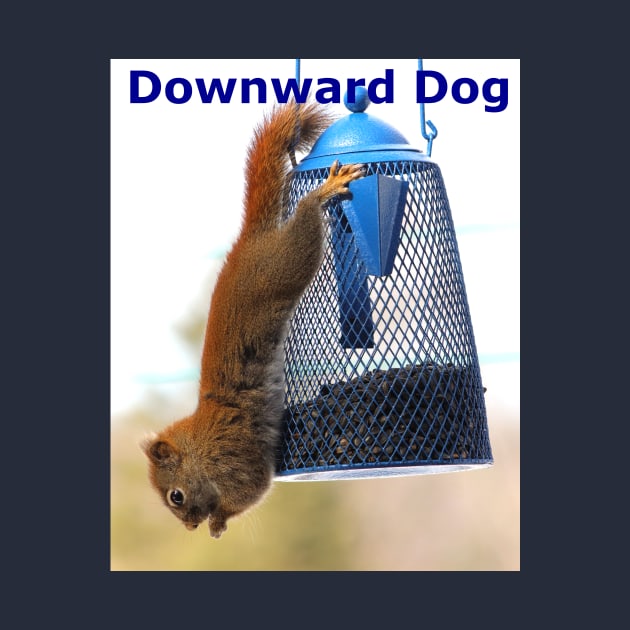 Downward Dog by Judy Geller