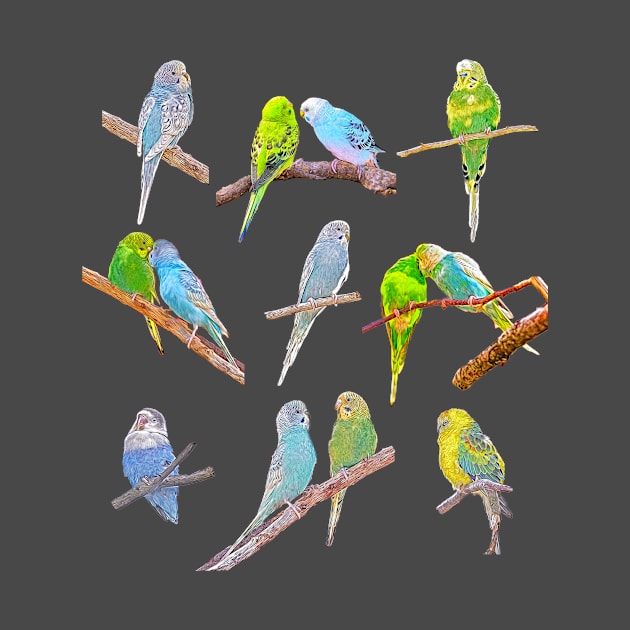 Lots of colorful parakeets - cute little birds by MarionsArt