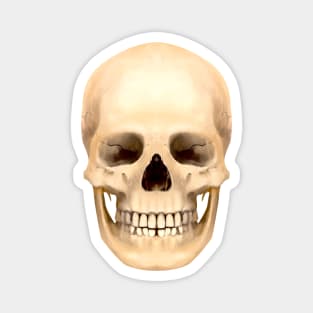 Skull Magnet