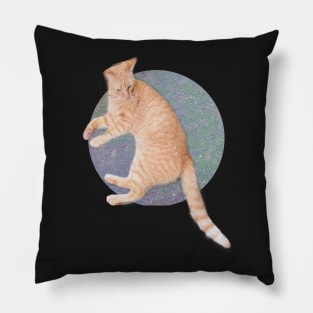 Cat Lounging Pillow